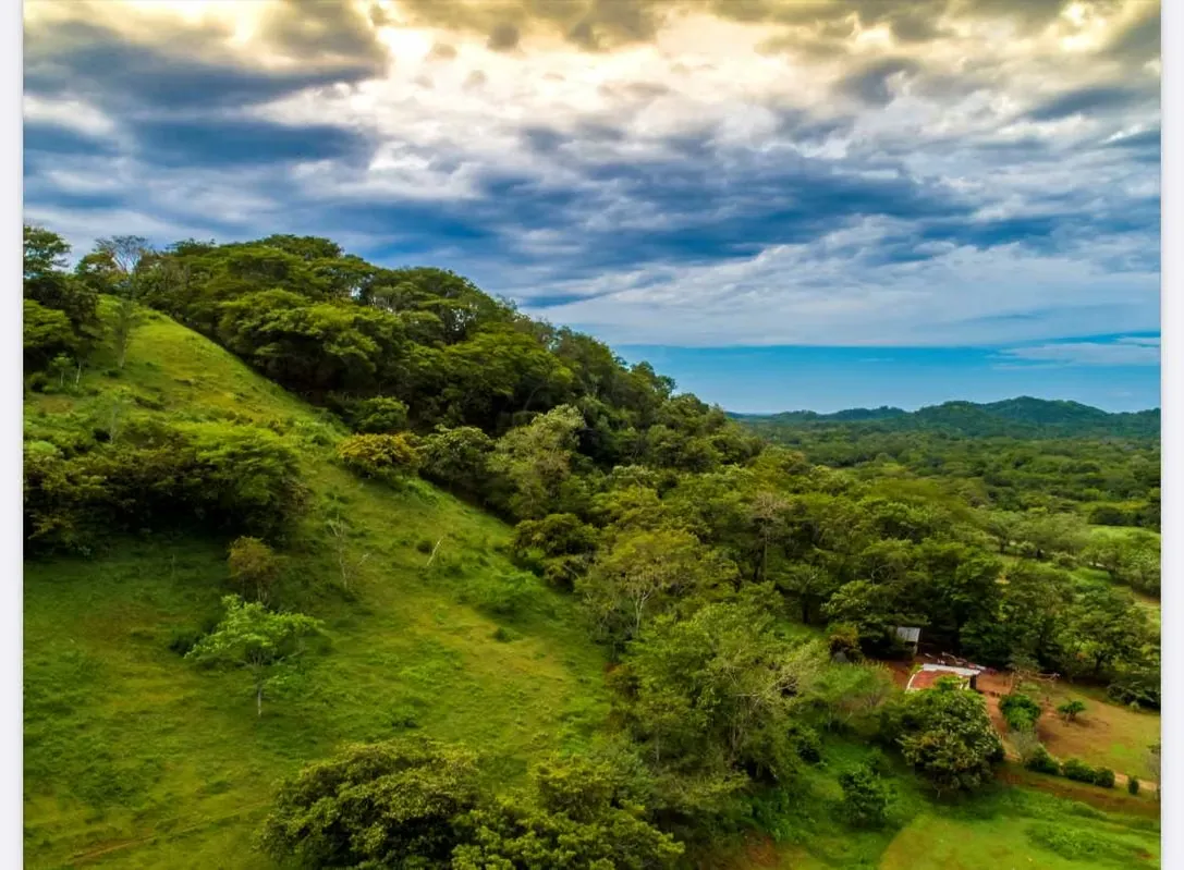 Location: Hernández, Tamarindo, Santa Cruz, Guanacaste
