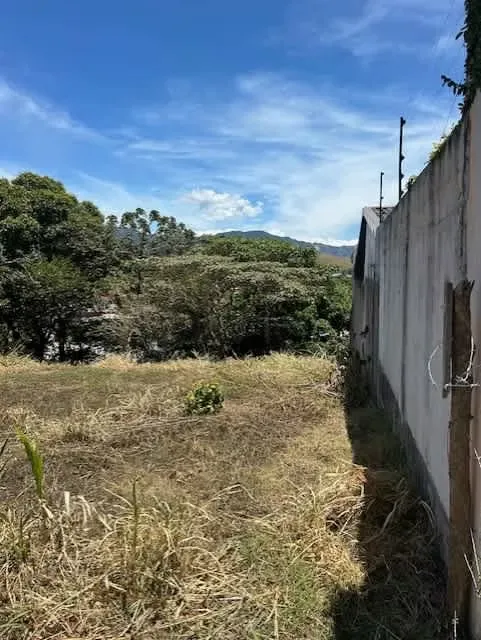 Lote para Desarrollo en Lomas de Ayarco #40832