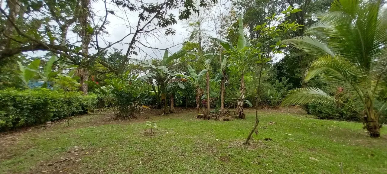 PRECIOSO LOTE PLANO 1600 M2 CERCADO Y SEMBRADO DE FRUTALES