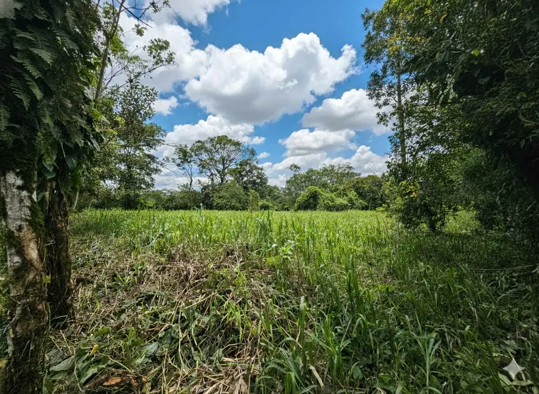 Terreno amplio y versátil en una zona de alta belleza natural, ideal para residencia, desarrollo turístico o retiro ...