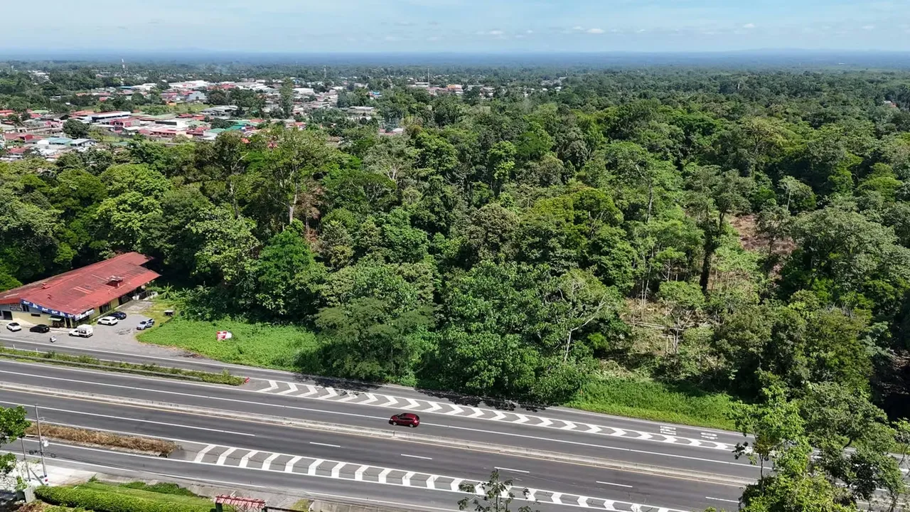 HIGH-DENSITY COMMERCIAL PROPERTY FOR SALE, LIMÓN, GUÁPILES - 9583360