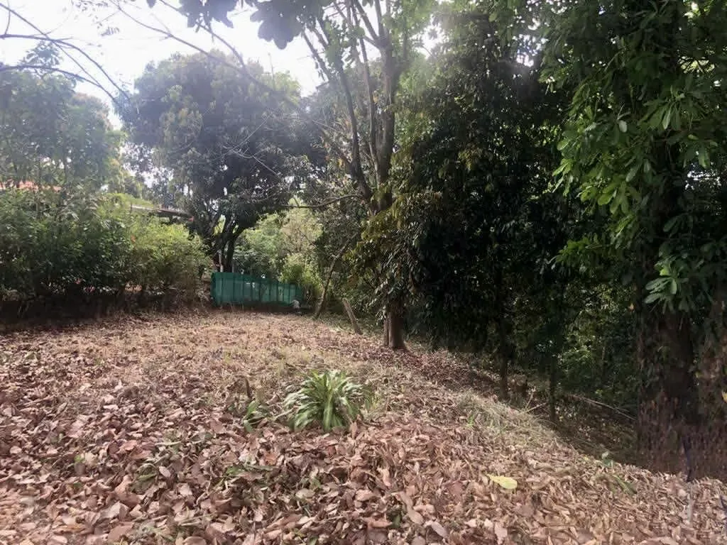 ## **Lot for Sale in Residential Area – Ramadas, San Mateo de Orotina, Alajuela**
