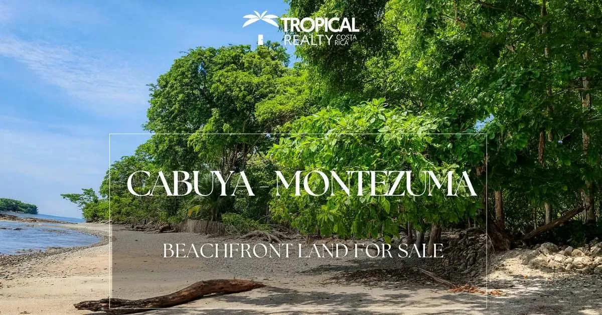 Terreno Concesionado Frente al Mar en Cabuya – Ideal para Hotel