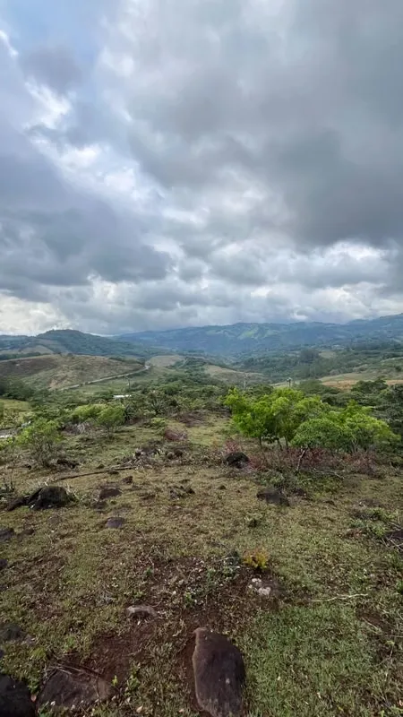 Beautiful Lot for Sale in Monteverde
