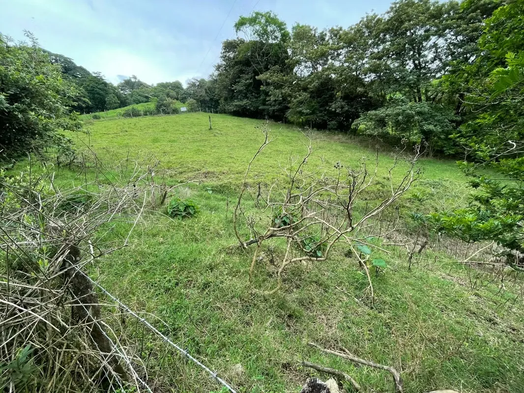 Monteverde Lot for Sale