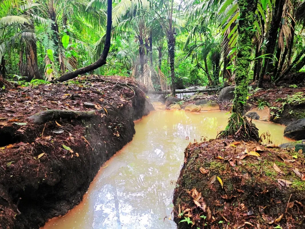 Finca con aguas termales en venta en El Gavilán, Upala – 3.6 hectáreas