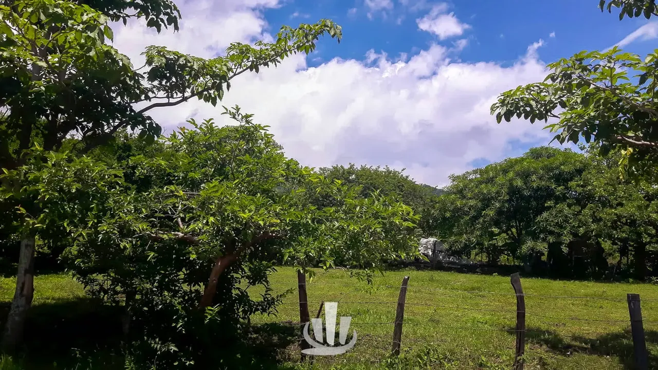 Mixed Lot for Sale in Piedades de Santa Ana