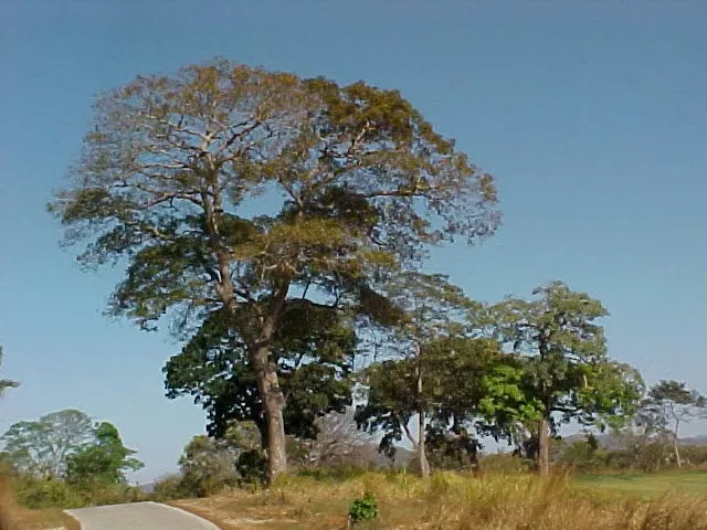Venta de lote residencial en Hacienda Pinilla