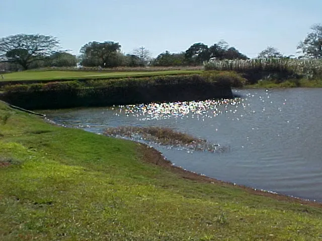 Venta de lote residencial en Hacienda Pinilla
