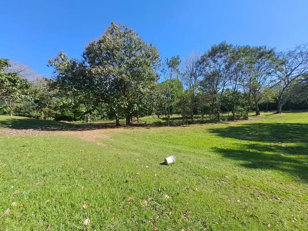 Lote de 7077m2 uso Residencial en las Juntas de la Guácima de Alajuela