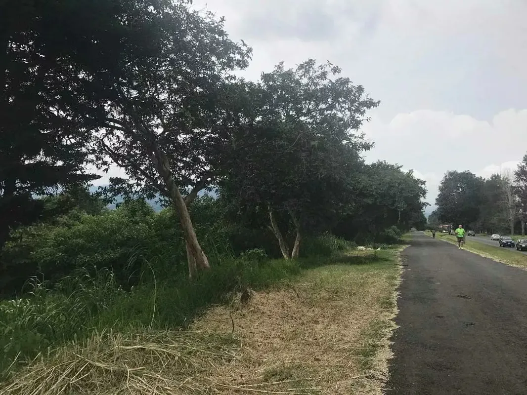 Venta Terreno sobre Ruta 32, Pará de Santo Domingo, Heredia