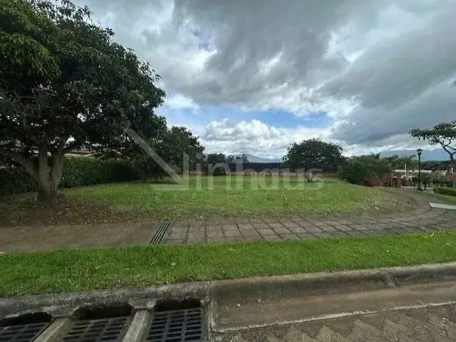 Lote en Oportunidad en Colinas de Montealegre