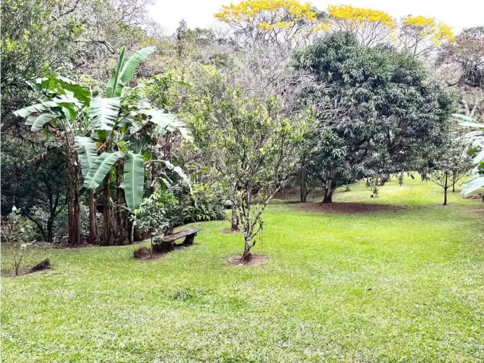 Gran oportunidad de venta de terreno en Ciudad Colon