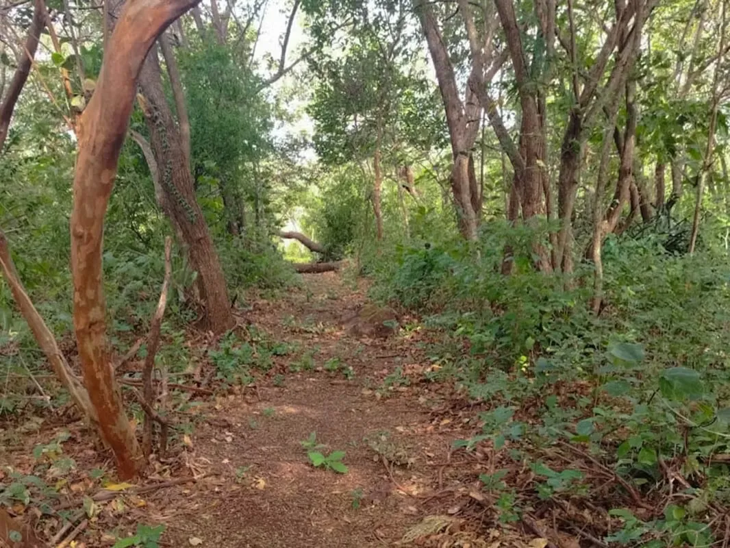 VENTA DE LOTE EN LIBERIA GUANACASTE -  TUCAN