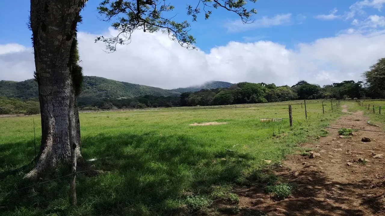 Venta de finca ganadera y lechera en Bagaces
