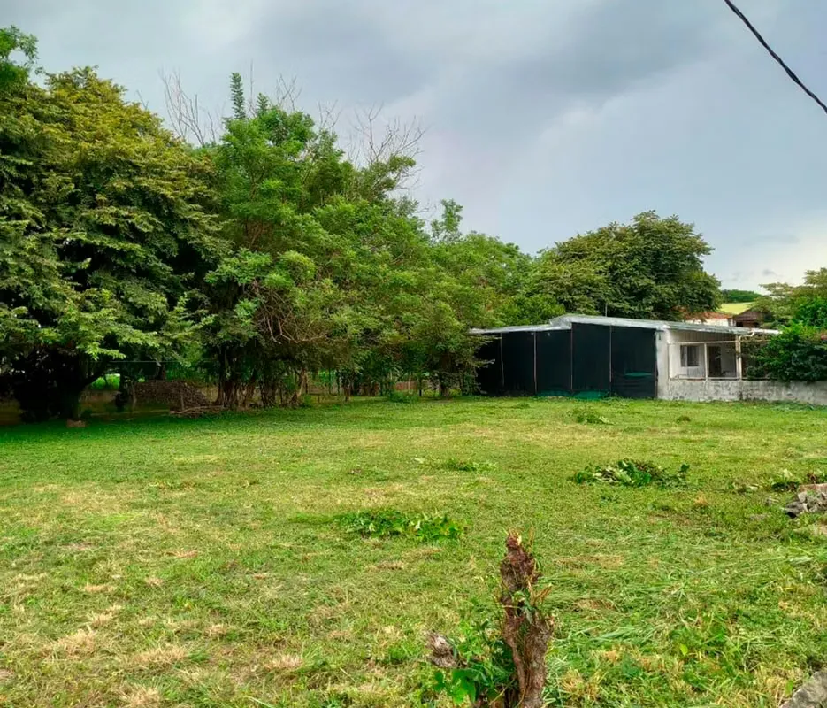 VENTA DE LOTE DE 1,000 m² EN LIBERIA, GUANACASTE