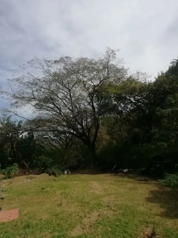 Hermoso lote en Santa Ana ideal para desarrolladores