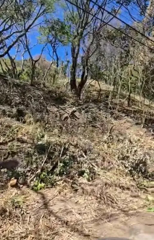 Venta de amplio lote con buen precio en Residencial ubicado en Río Oro de Santa Ana.