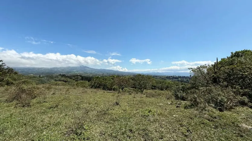 Property for Sale with a Beautiful Creek Running Through It