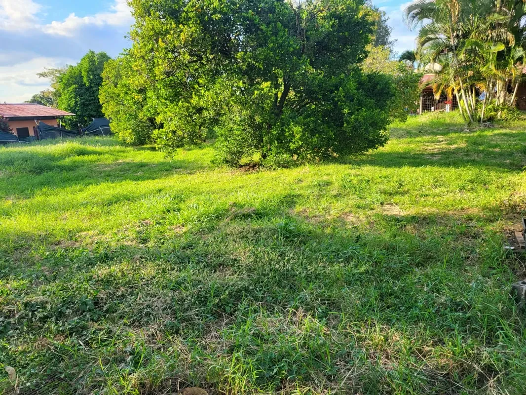 Propiedad amplia con uso habitacional y comercial, ideal para inversión, negocio o proyecto ...