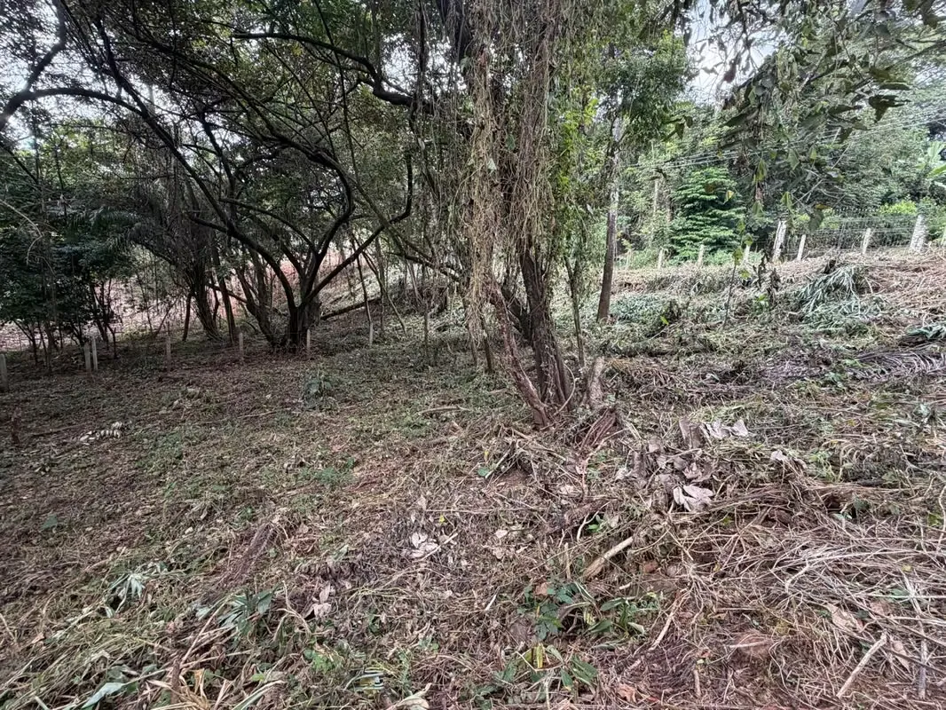 Lot #52 for Sale – El Castillo, Esparza
