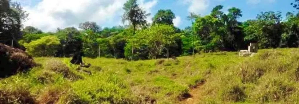 Impresionante propiedad que colinda con el Parque Nacional Braulio Carrillo, ideal para inversión ecológica, ...