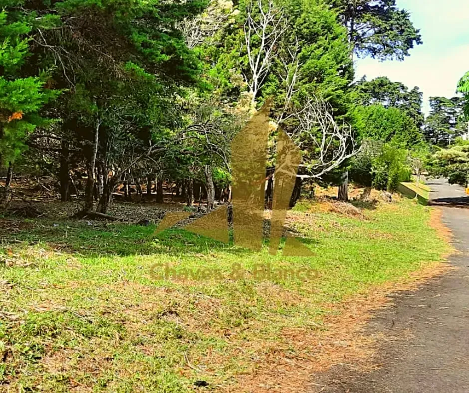 Ubicada en las montañas de San Rafael de Heredia, esta finca de 7.000 m² ofrece un entorno natural privilegiado, rodeada ...