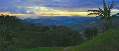 Propiedad de 17 lotes con Vistas al Golfo de Nicoya ideal para finca o desarrollo