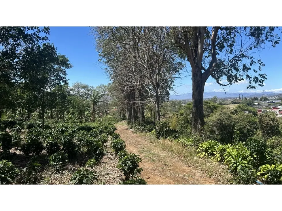 VENTA DE FINCA P/DESARROLLO RESIDENCIAL - COMERCIAL, BARVA 4162 (GC)