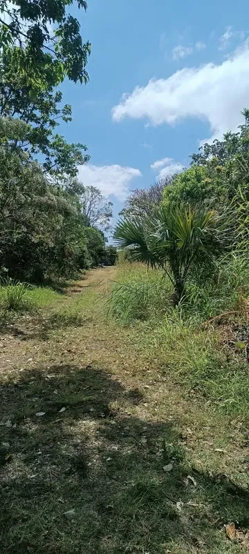 I sell nice land in Santa Rosa de Santo Domingo Heredia.