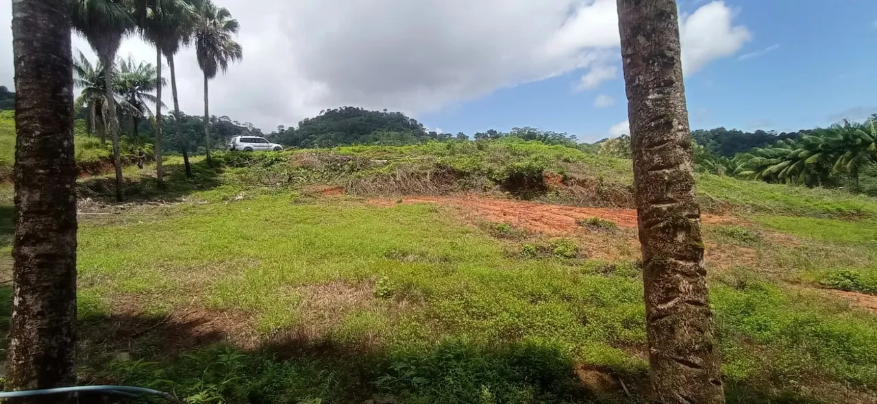 Property for sale, near the beach in Punta Mala, Osa, Puntarenas