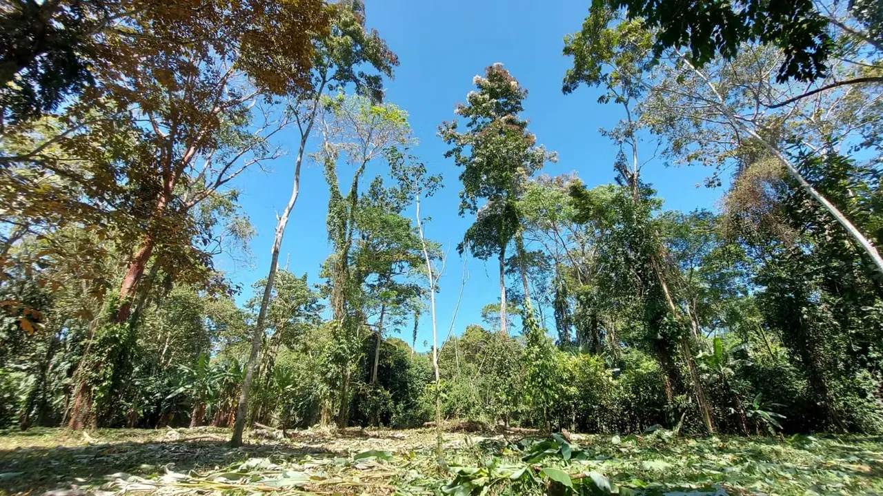 La propiedad se encuentra en medio de este paraíso natural que es ...