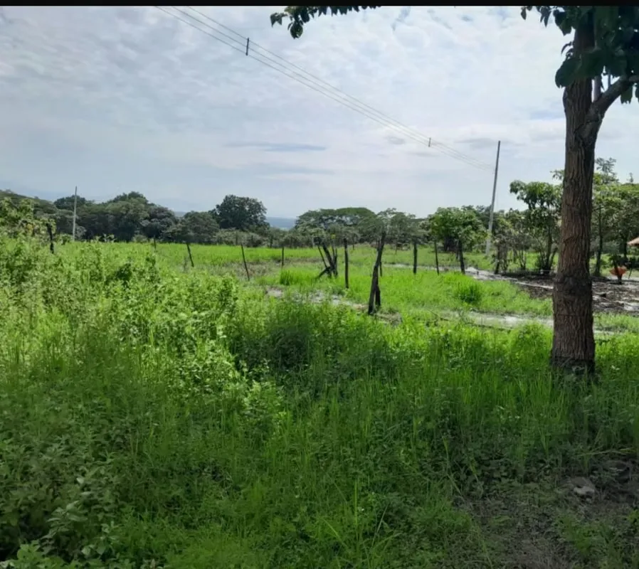 MA Asesoría vende terreno en La Guaria de Barranca, Puntarenas