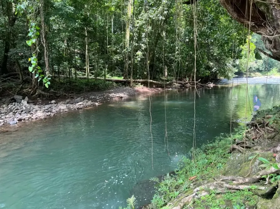 Immerse in an area of great beauty by the lush nature and crystal clear waters of the San Rafael River, you can ...