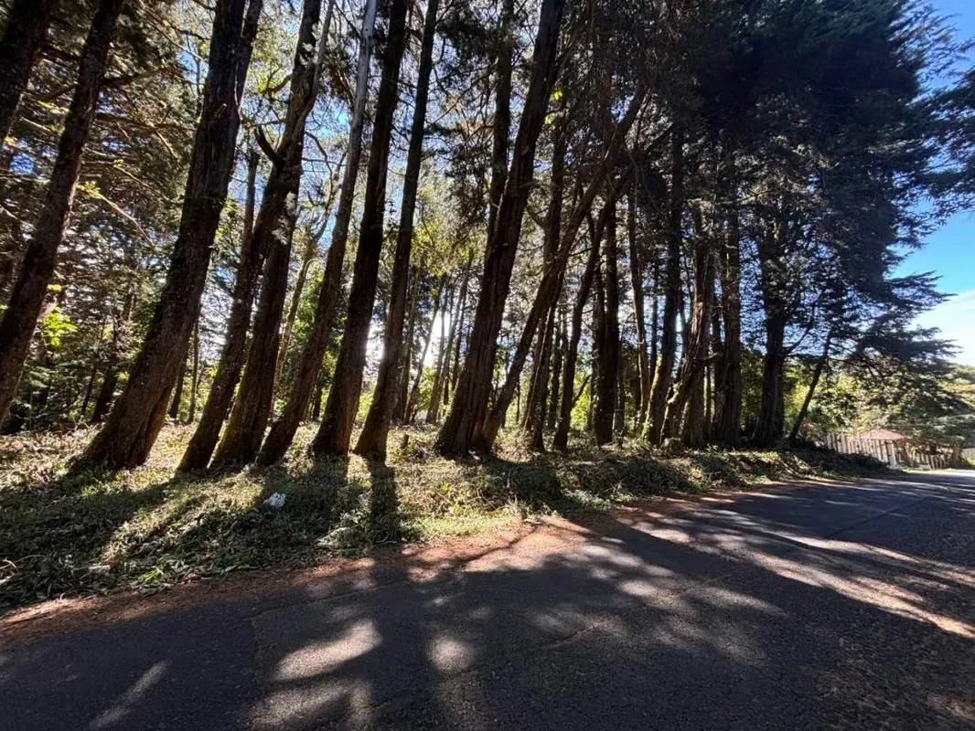 Venta de lote en El Tirol, Bosques del Monte, San Rafael de Heredia