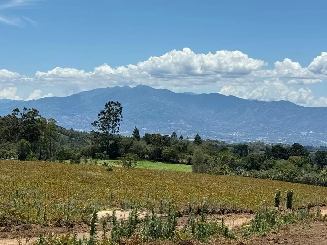 AMPLIOS LOTES EN VENTA CON VISTAS  ESPECTACULARES  AL VALLE CENTRAL  -  SABANA REDONDA DE POAS