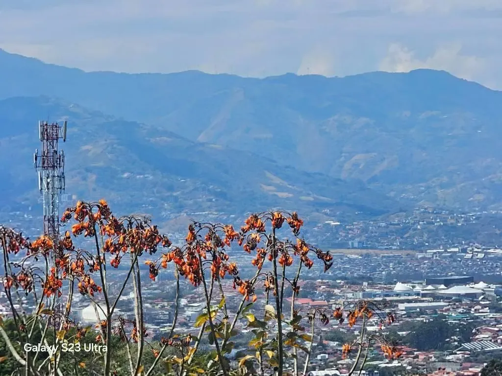 Terreno enorme para inversión a precio de ganga