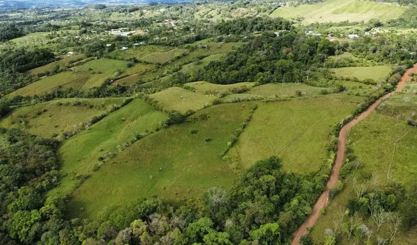 Venta de Finca en Perez Zeledon - Espectacular