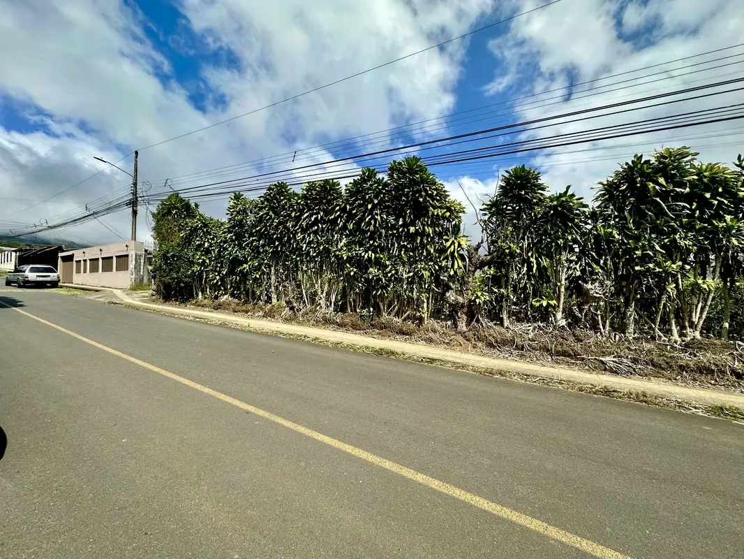 Venta Terreno San Isidro, Heredia  #26-1447