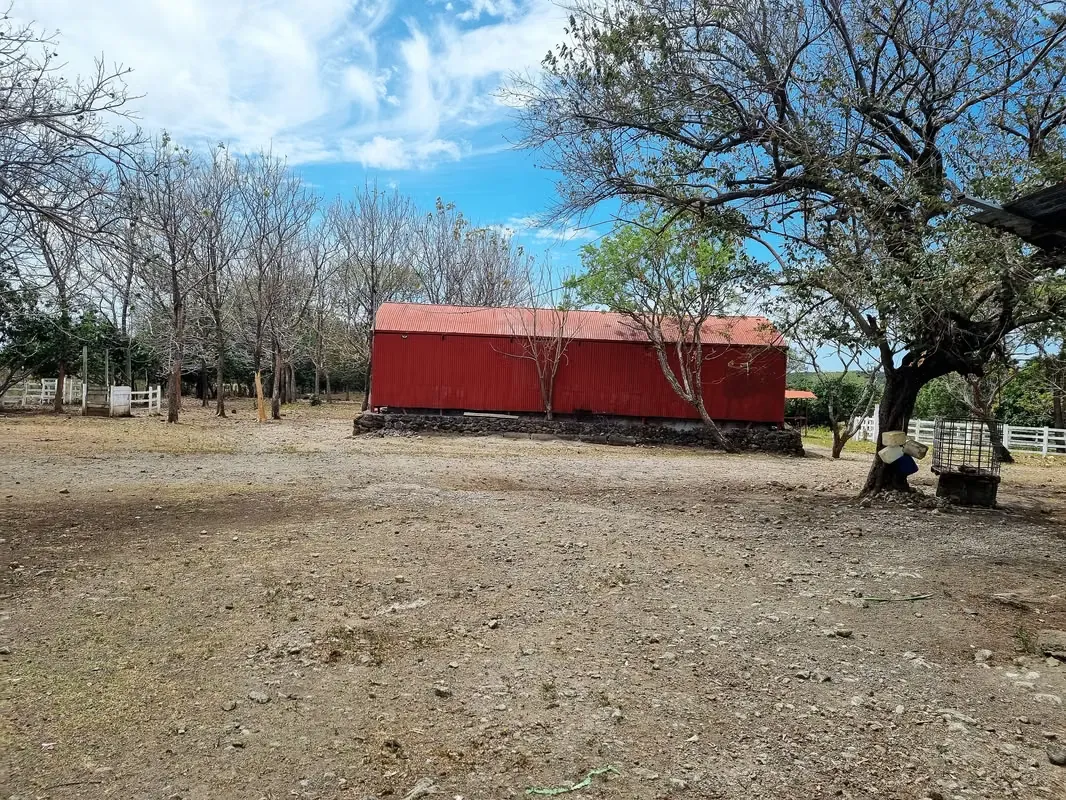 Venta Finca Palmira Cañas Guanacaste 60,7 ha