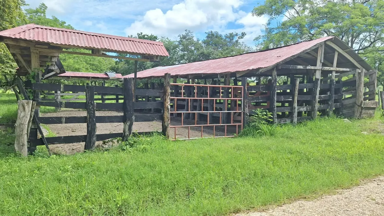 Finca 17 ha empastada con pozo y quebrada Nicoya