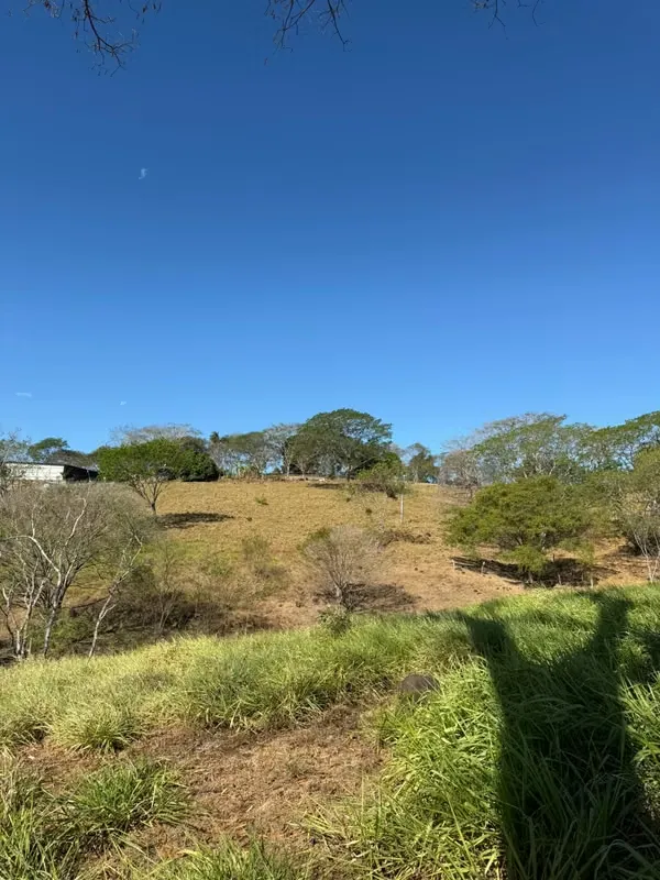 OPORTUNIDAD INDUSTRIAL EN LA CEIBA, OROTINA  Terreno de 20,000 m² en ubicación estratégica