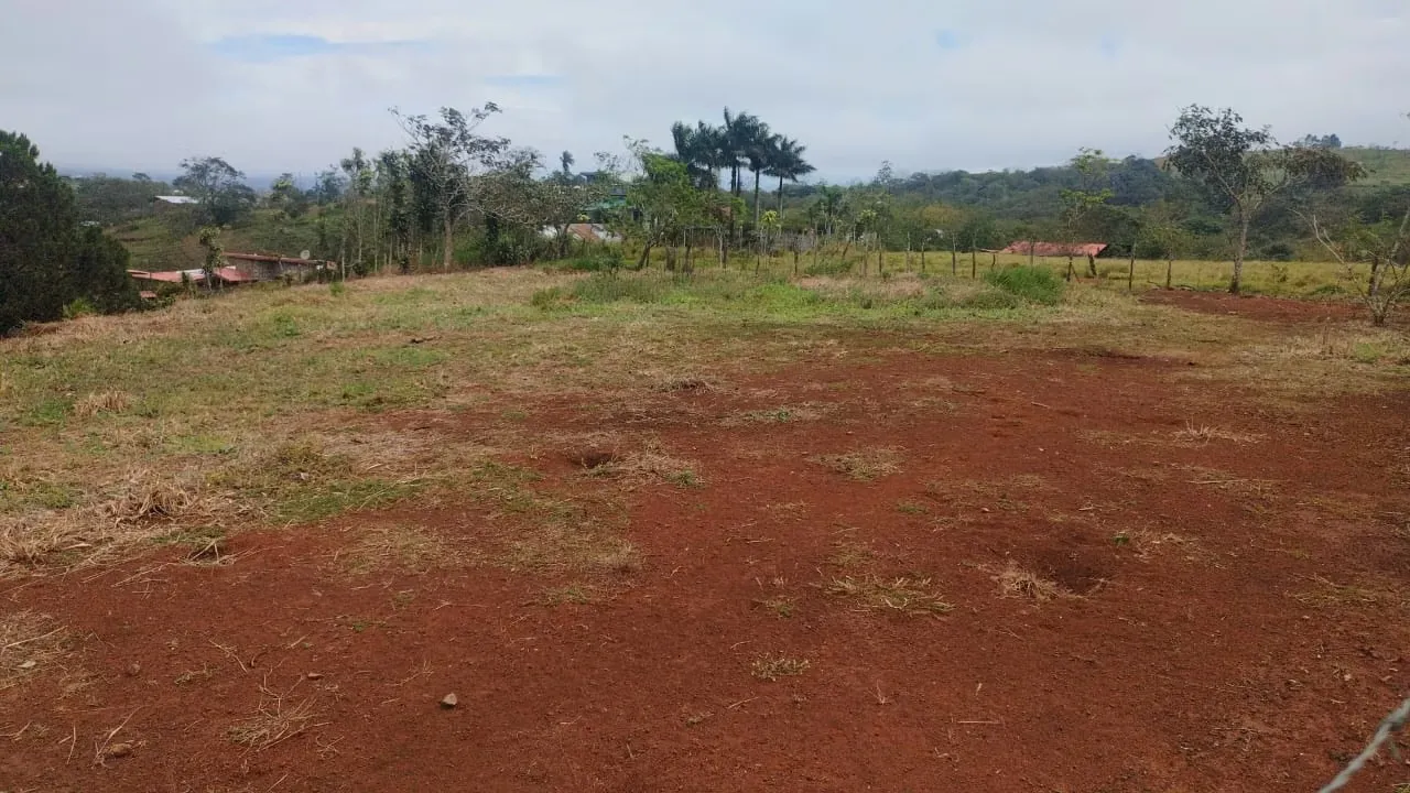 Venta de terreno en San Pedro de San Ramón, Aljuela