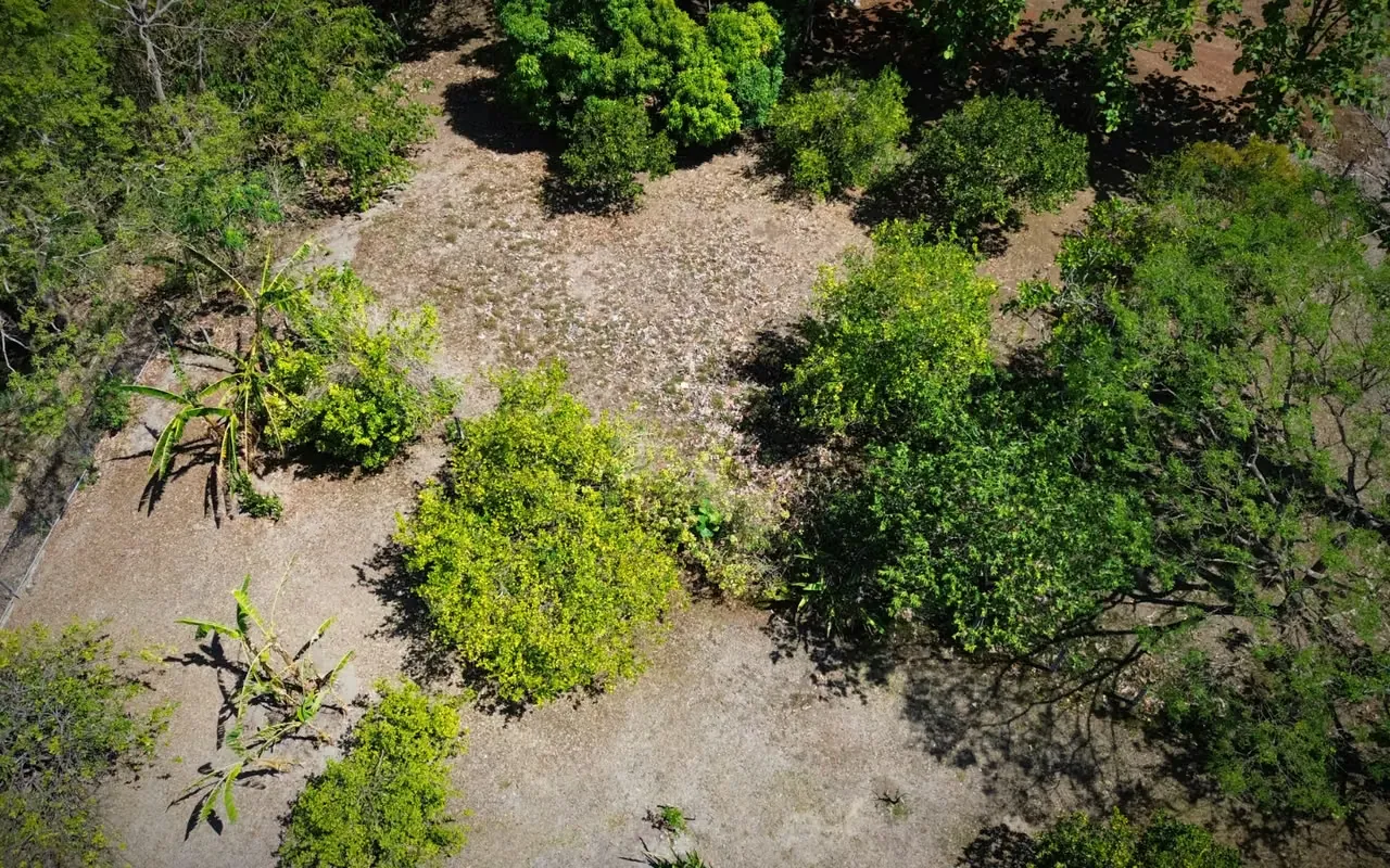 Lot for sale in Orotina