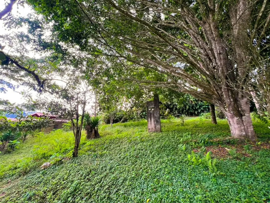 For sale nice mountain lot in San Ramón de Tres Ríos