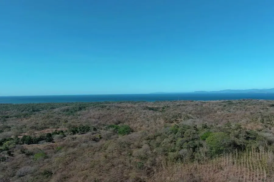 Lote 7,4ha con vistas al Mar y Potencial de Desarrollo