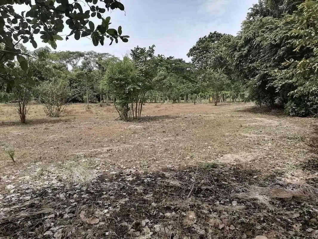VENTA DE LOTE BELEN DE CARRILLO GUANACASTE CERCA DE PLAYAS 25-1061