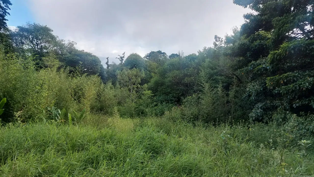 Lote en venta en San Rafael de Heredia Residencial El Castillo