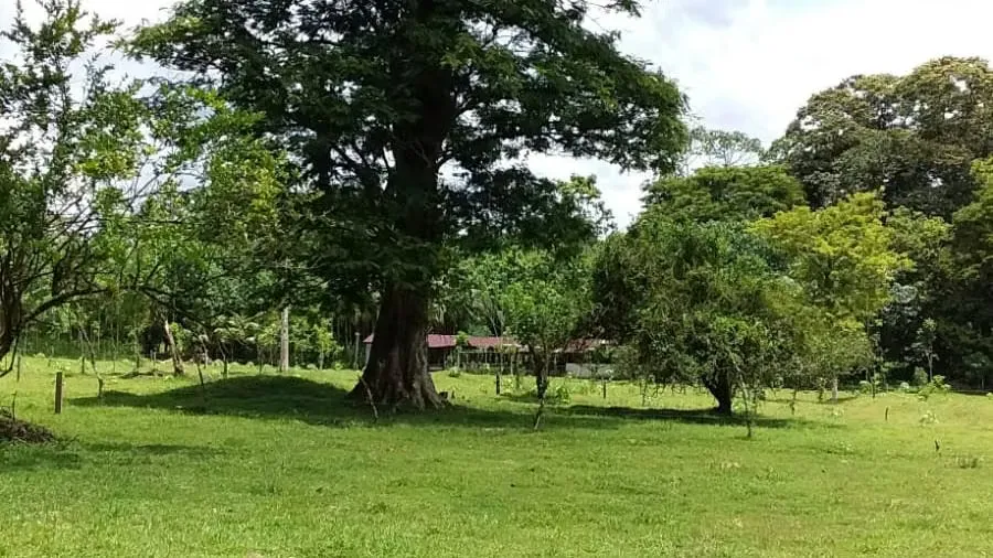SE VENDE FINCA GANADERA Y DESCANSO SARAPIQUÍ esh