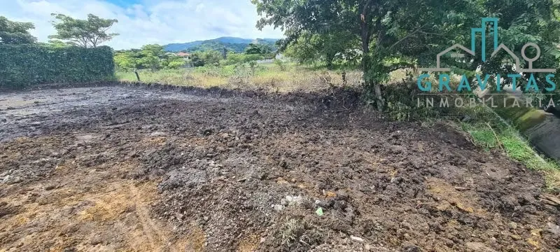 Lot for sale in Santa Ana 906m2 ID 1501